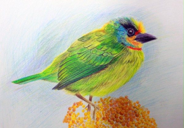 鳥。