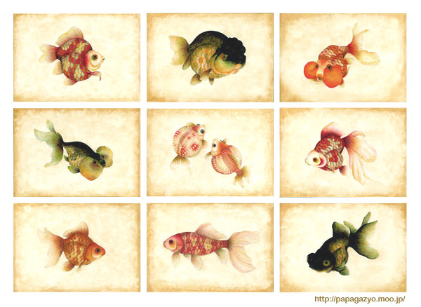 金魚
