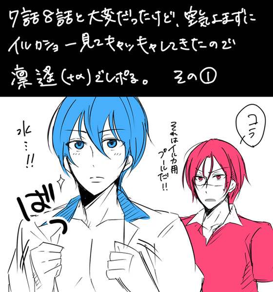 【腐】凛遙でイルカショーレポる。