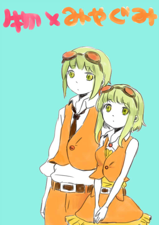 小物とミヤグミ