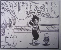 ターブルの奥様