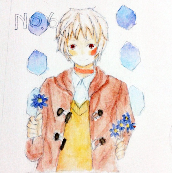 紫苑