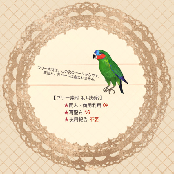 円レース系フリー素材01