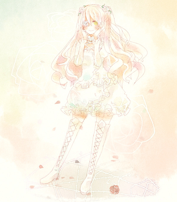 白薔薇