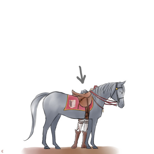 兵長と馬