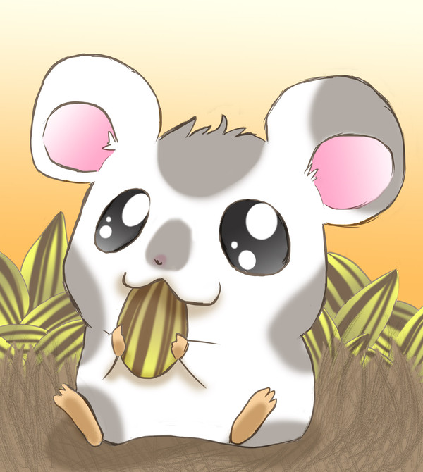 こうしくん