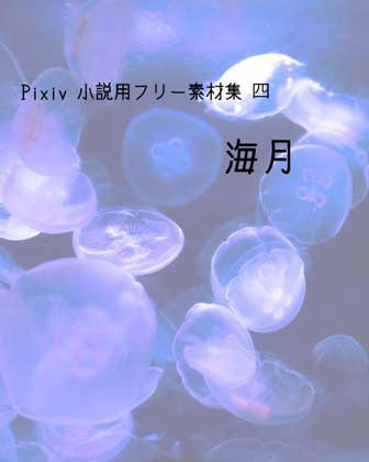 海月