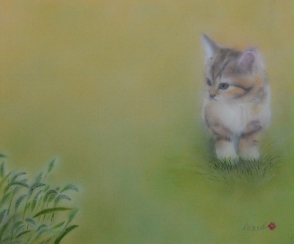ねこ(夏)