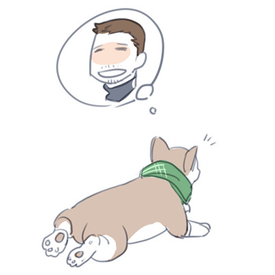 corgi piersXD