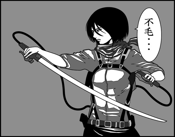 ミカサ