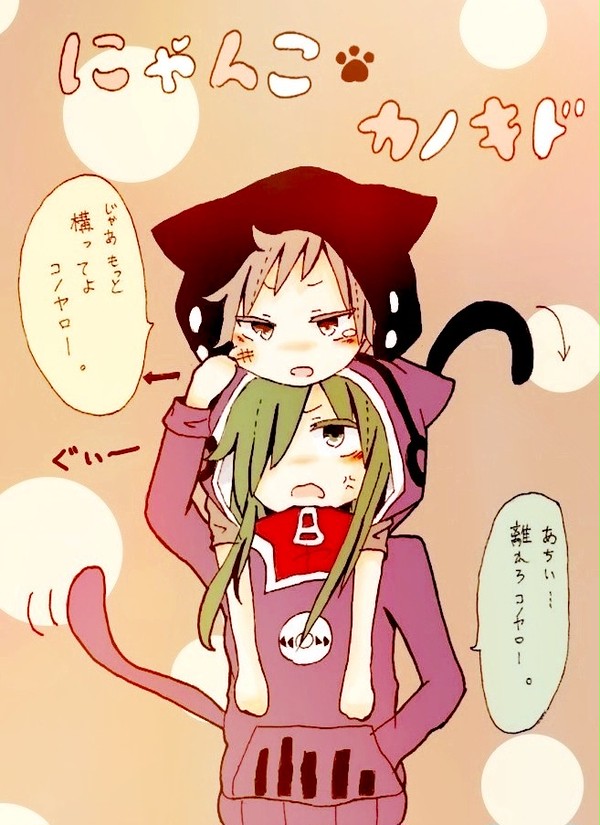 にゃんこカノキド