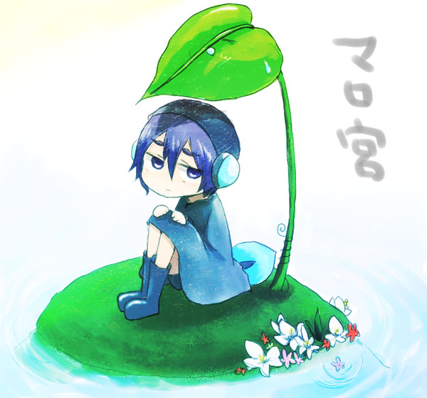 まろみや