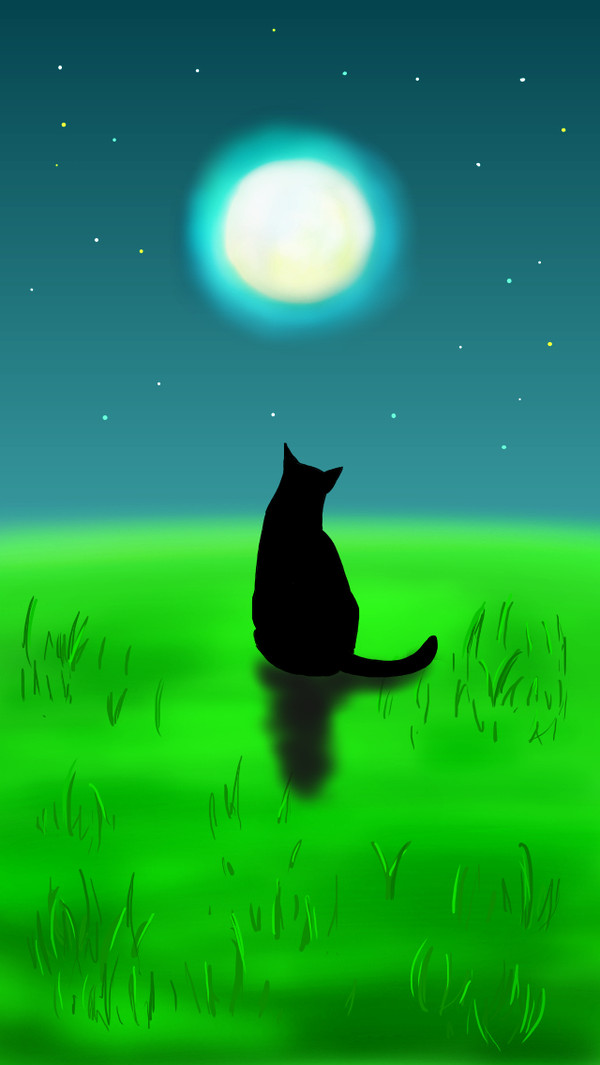 月と猫