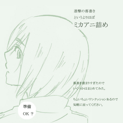 ほぼミカアニ詰め