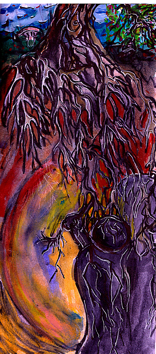 forest of the stone people
