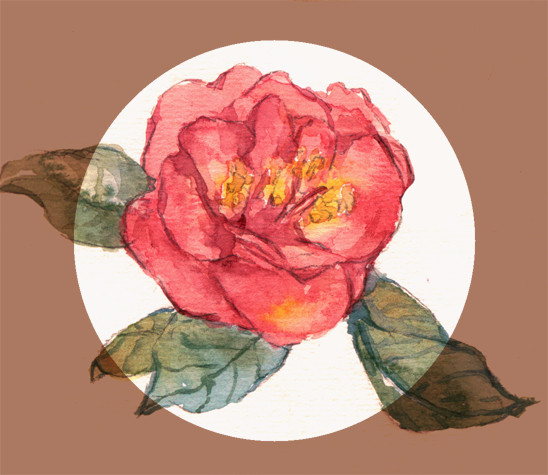 花さんたち