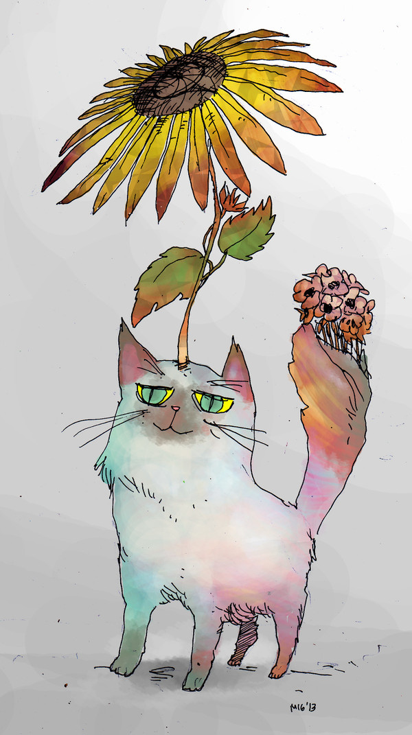 猫花