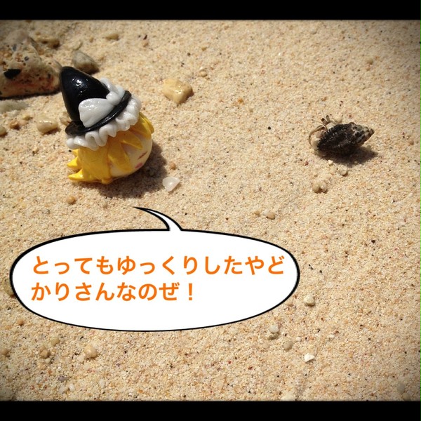 ゆっくりたちと行く沖縄