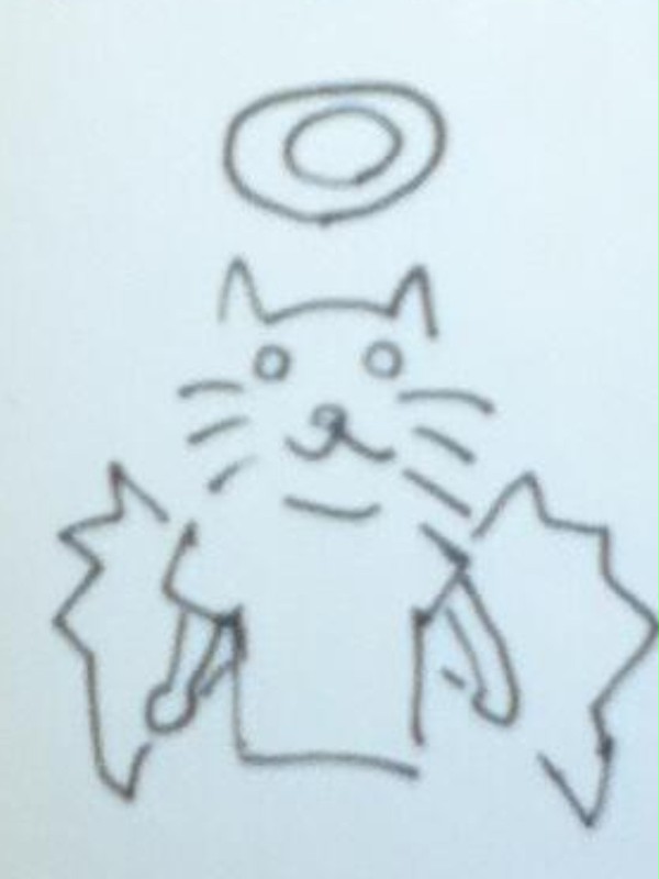 ほーりーえんじぇるにゃーこ