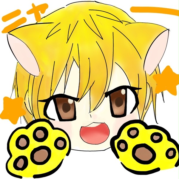 きせにゃんこは今日もあざとい。