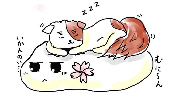 いぎねこにほもち