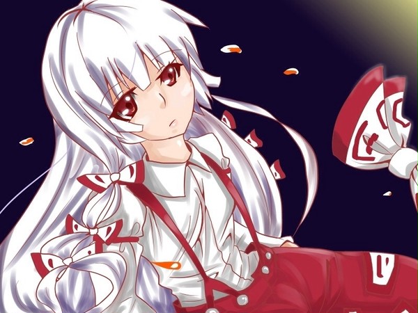 月夜のもこたん