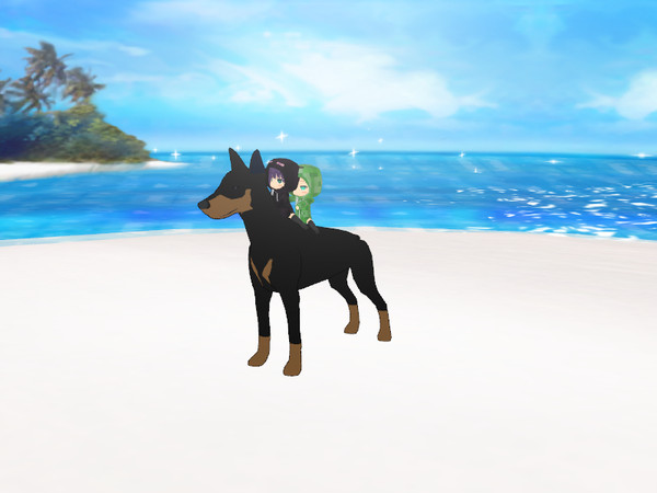 ridem Dogge
