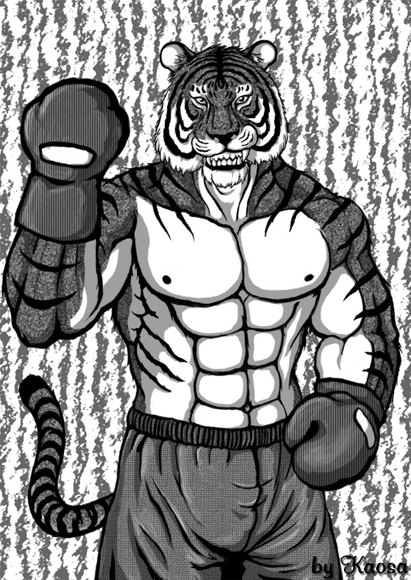 Boxer Tiger