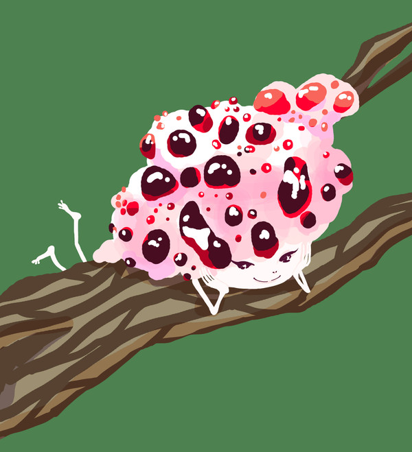 Hydnellum peckii