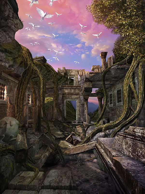 Ruins of birds (回廊）