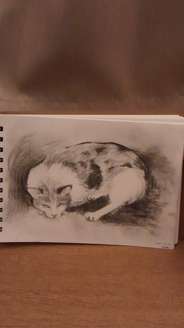 三毛猫