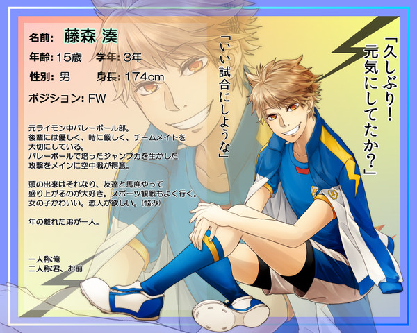【pix11】藤森 湊【キャラシート】