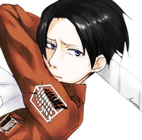 Levi