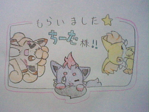 いただきました。