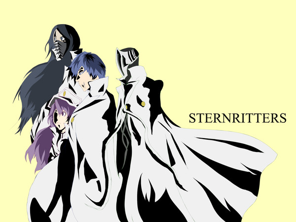 STERNRITTERS
