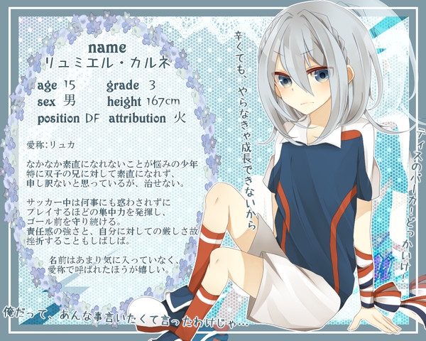【pix11】リュミエル・カルネ【キャラシート】