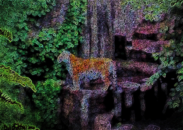 虎