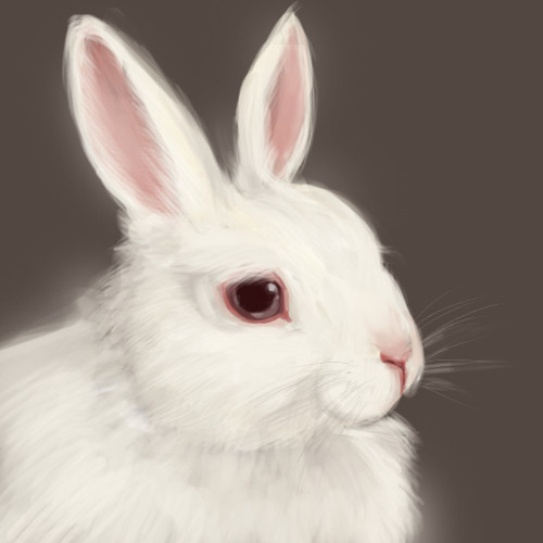 うさうさ