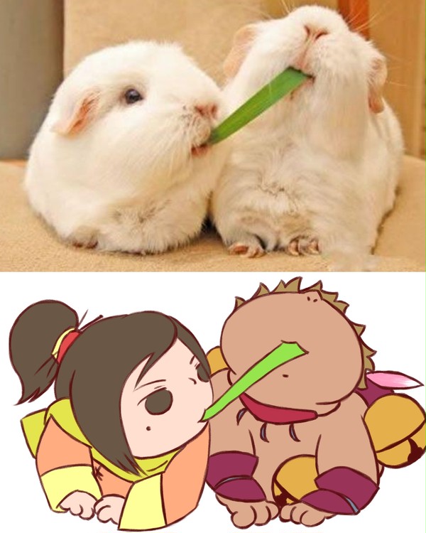 兔子甘凌