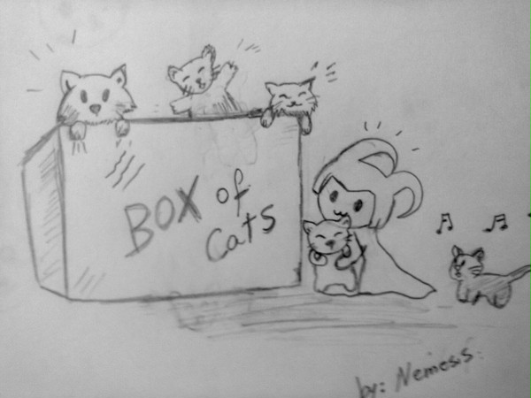 Loki is Crazy like a box of cat