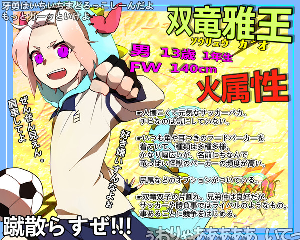 【pix11】 双竜 雅王 【キャラシート】