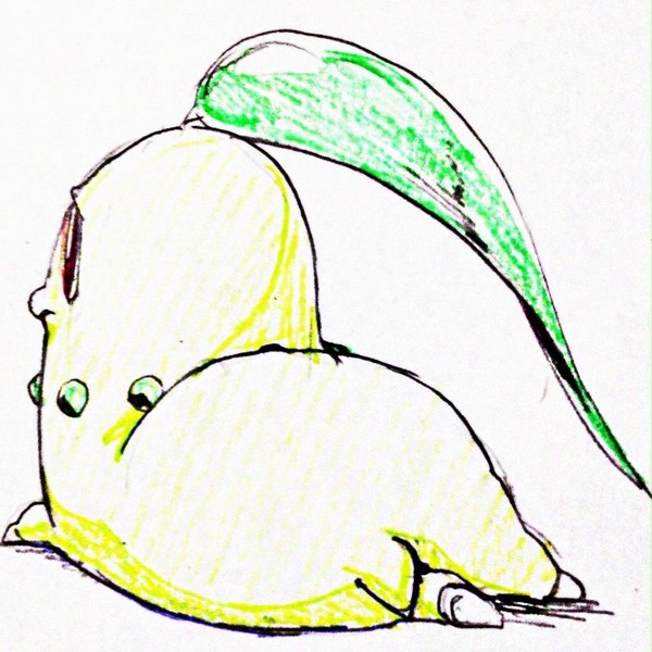 チコリータ