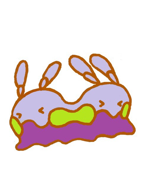 ひっつきヌメラ