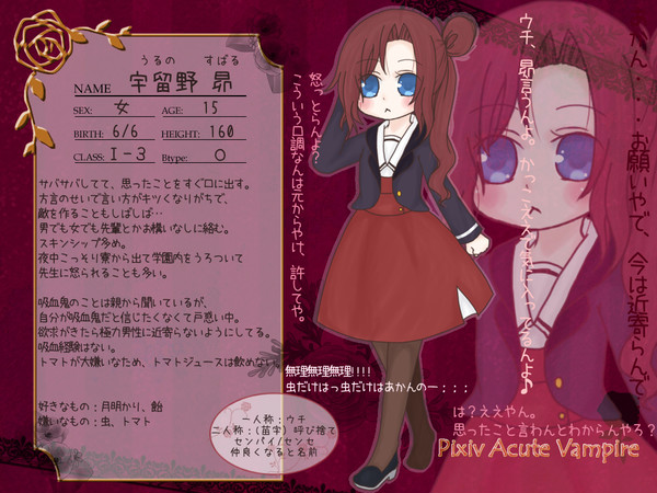 【PAV】宇留野昴【キャラシ】