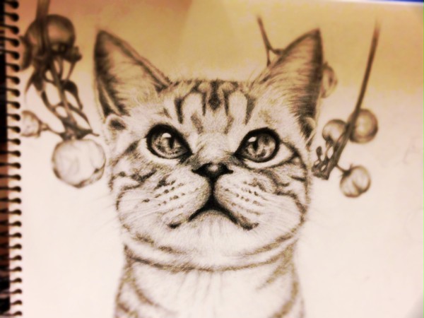 猫絵