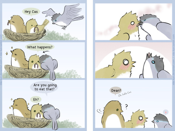 Birds