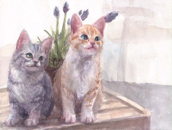 ねこ
