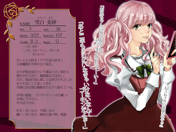 【PAV】雪白美砂【キャラシ】