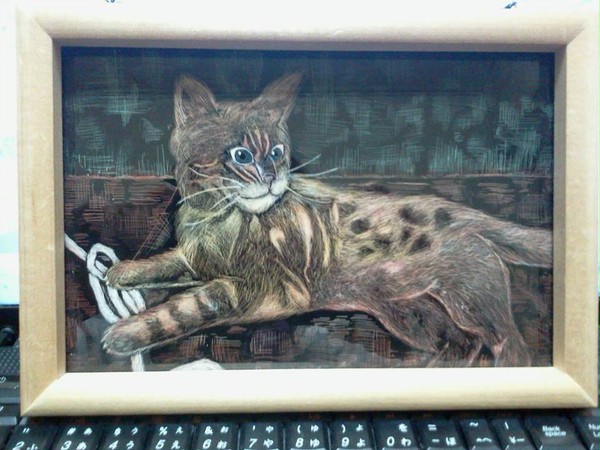 猫