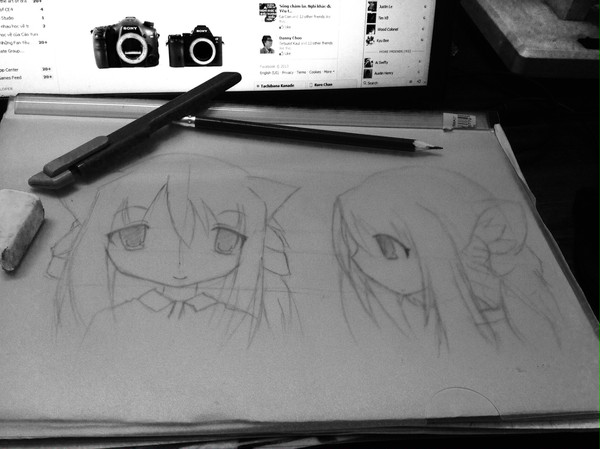 Sketch
